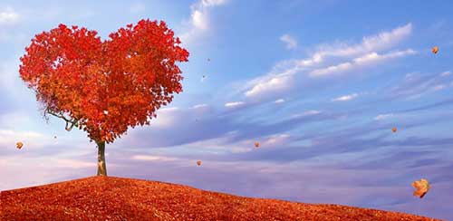 Simpatia para Ele me Amar Cada Vez Mais e Para Sempre! 3 simpatias de amor