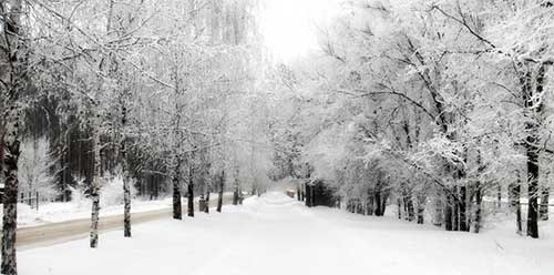 O que Significa Sonhar com Neve: Interpretação e Significados 10 fotos do inverno