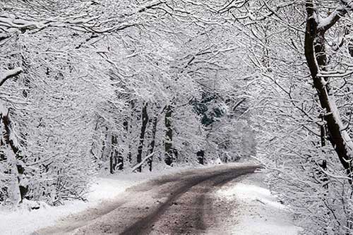 O que Significa Sonhar com Neve: Interpretação e Significados 11 imagens do frio