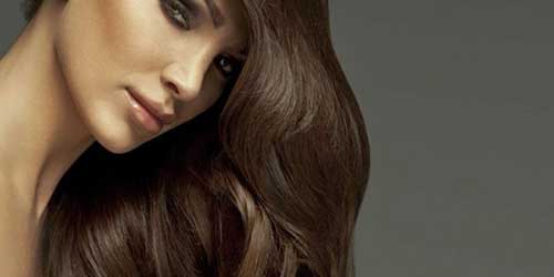 O que Significa Sonhar com Barata: Voadora, Muitas, Grande, Cabelo 6 guia dos sonhos