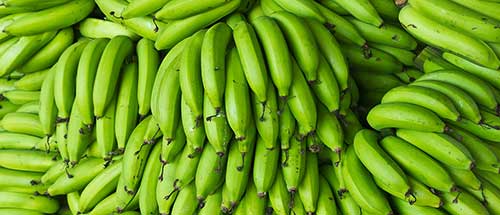 Como Fazer Simpatia da Banana: da terra, verde, nanica! 5 simpatias