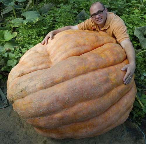 Sonhar com Frutas: Verduras, Legumes, Gigantes (Significados) 9 os maiores da internet