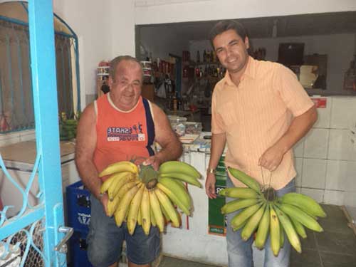 Sonhar com Frutas: Verduras, Legumes, Gigantes (Significados) 10 bananas imensas