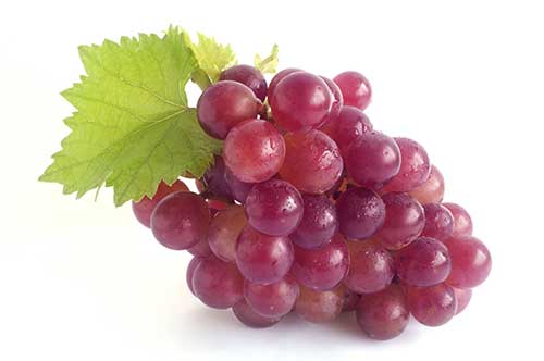 comento frutas