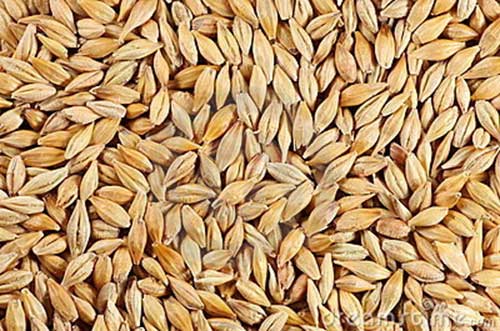 Significados de Sonhar com Comidas: Interpretação de Sonhos! 30 grãos