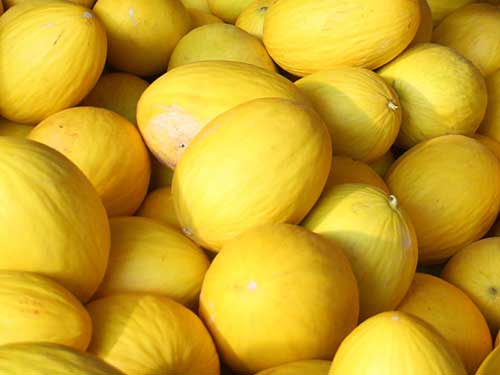 Significados de Sonhar com Comidas: Interpretação de Sonhos! 23 amarelo