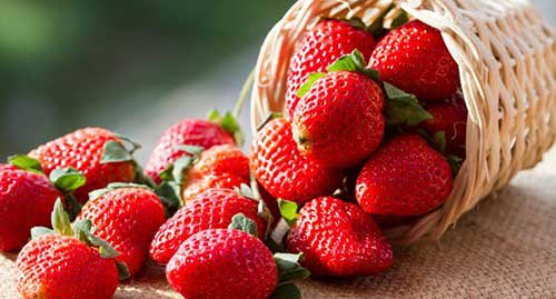 Significados de Sonhar com Comidas: Interpretação de Sonhos! 34 frutos vermelhos