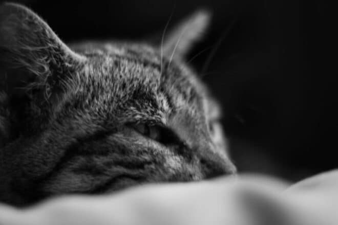imagem sonhar 117 scaled
