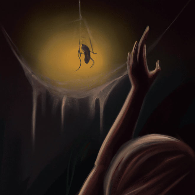 'SONHAR COM BARATA E ARANHA' SIGNIFICA...? 4 sonhar com barata e aranha3