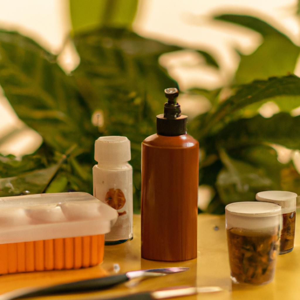 Descubra os Melhores Kits de Cura com Plantas para Comprar Agora Mesmo! 2 Kit de cura com plantas2