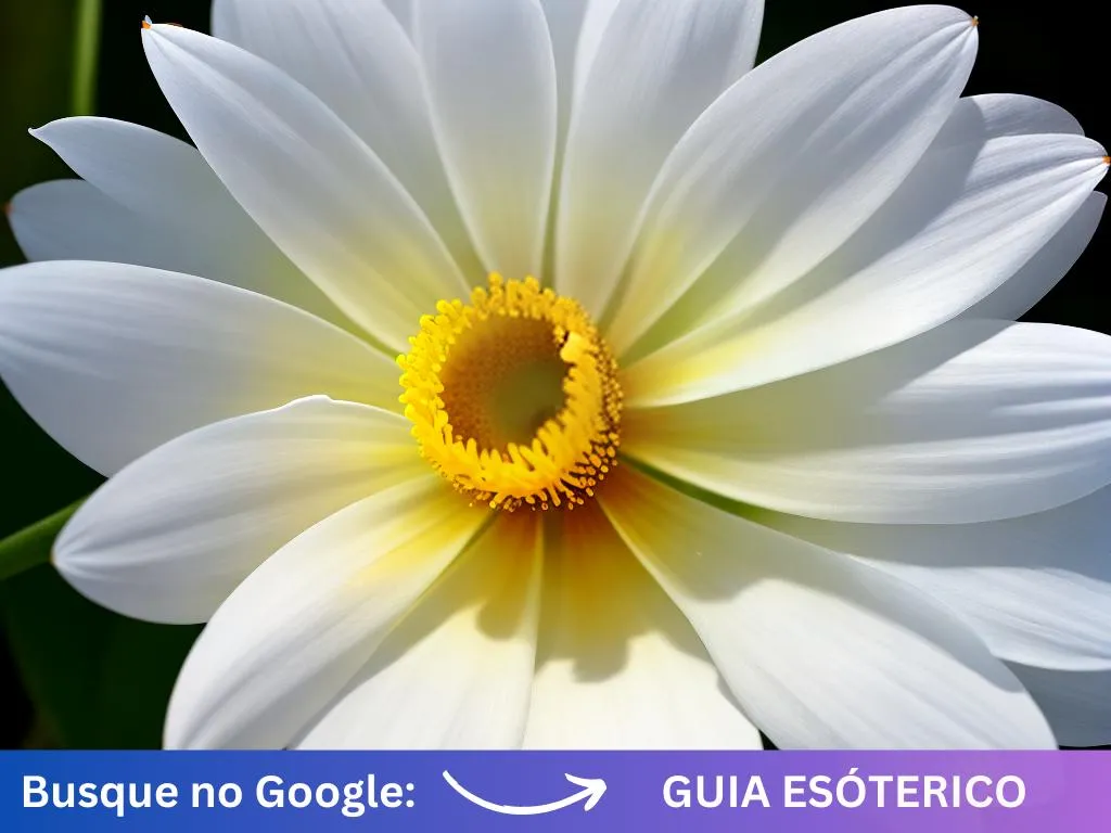 Dicas dama da noite espirito