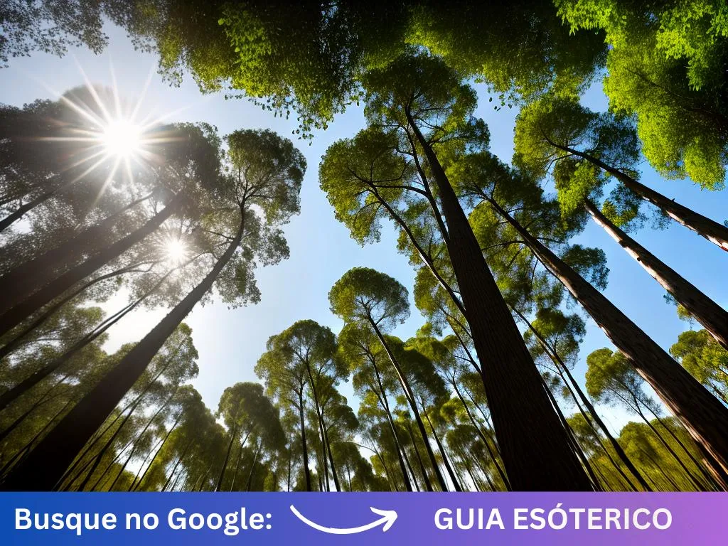 Dicas eucalipto tratado espirito santo