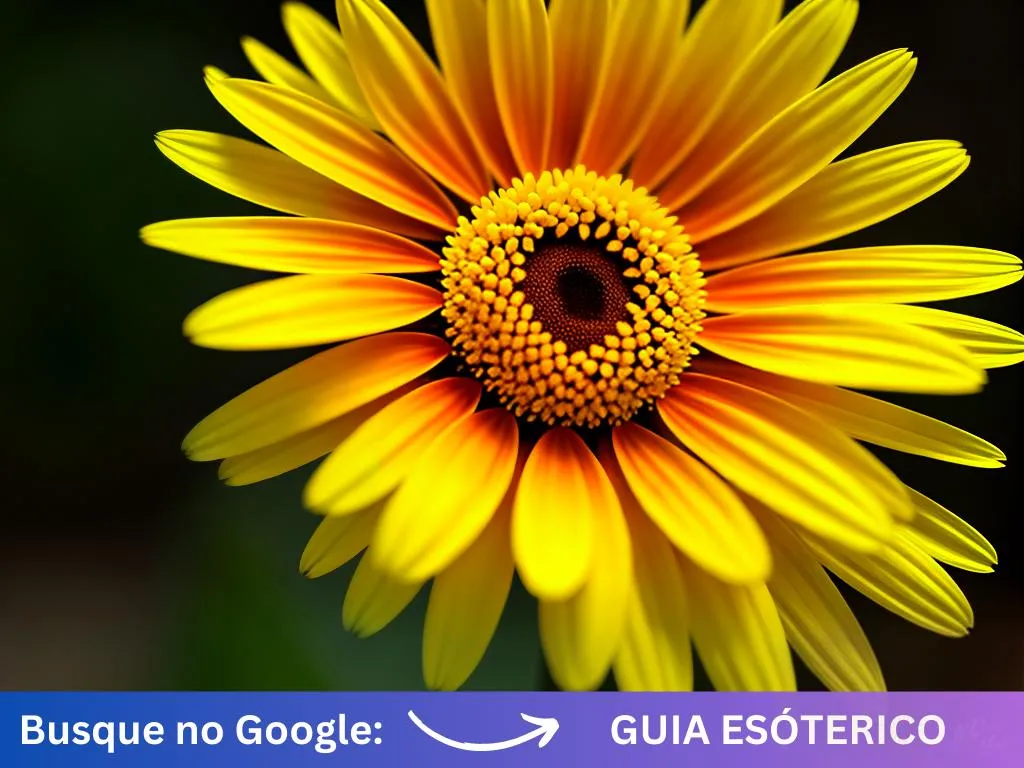 Fotos qual o significado da margarida