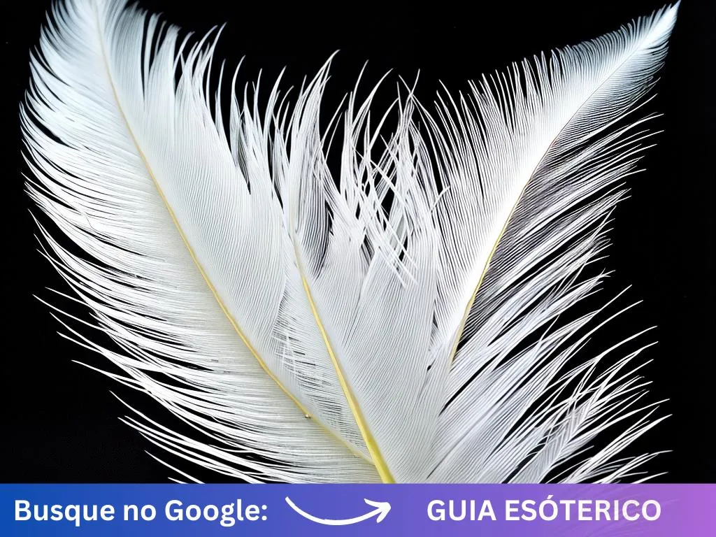 Fotos qual o significado de sonhar com pinto