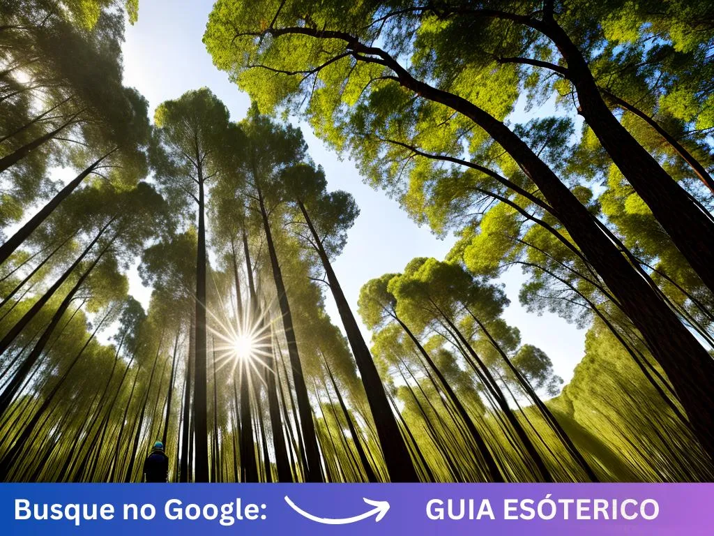 Ideias eucalipto tratado espirito santo