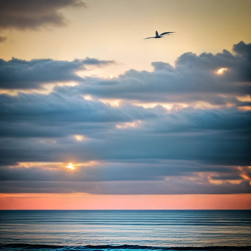 Fotos gaivotas por do sol oceano liberdade