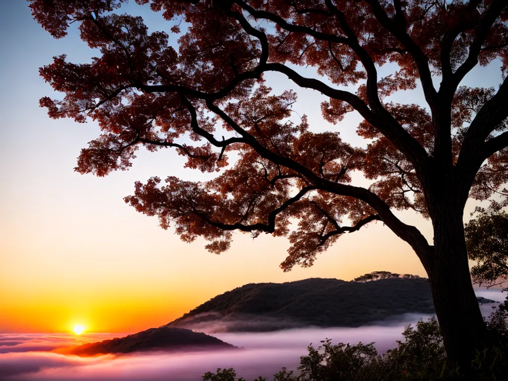 Descubra o Significado de Sonhar com Renascimento e Rejuvenescimento 6 Fotos nascer do sol arvore silhueta recomeco