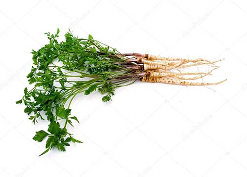 perfil nutricional