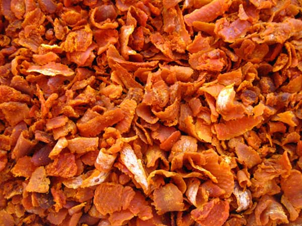 Casca de Buriti rica em nutrientes