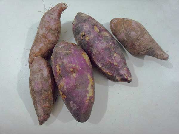 Ativa o intestino preguiçoso