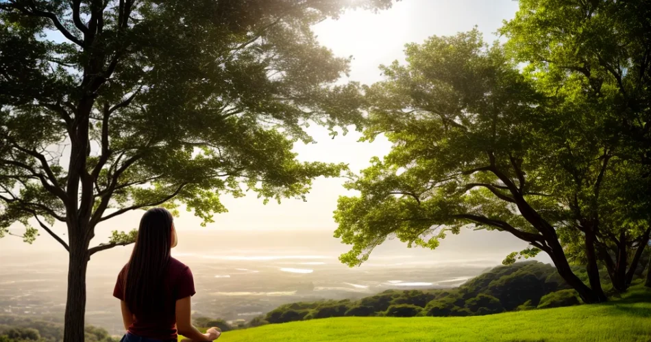 Fotos oracao sol natureza paz