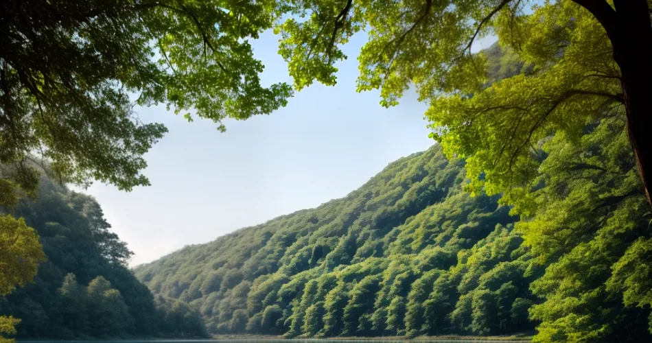Fotos paz lago arvores ceu barco biblia